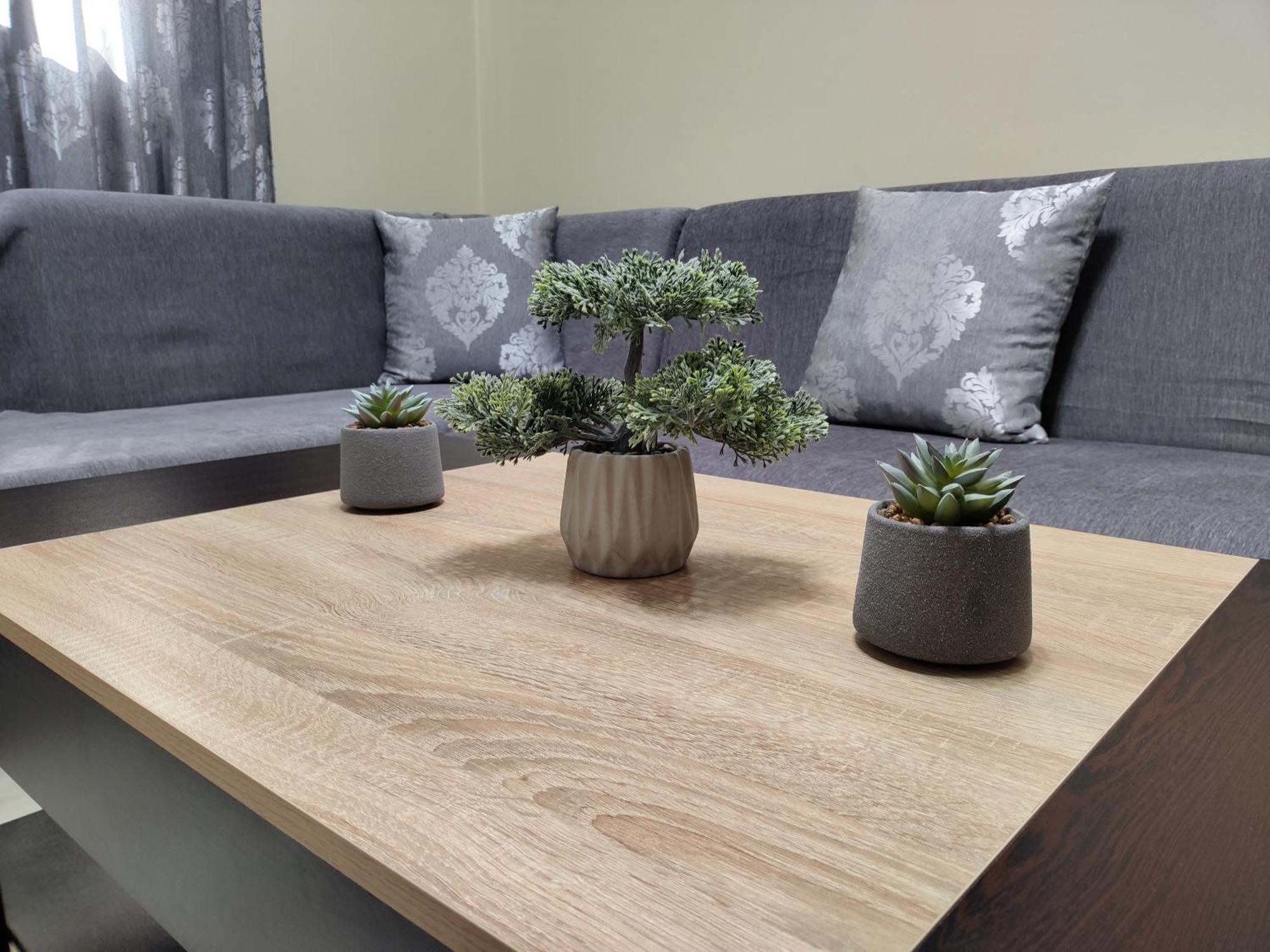 Silver Pearl Apartament *